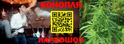 трава Кандалакша