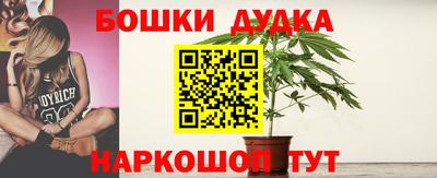 трава Кандалакша