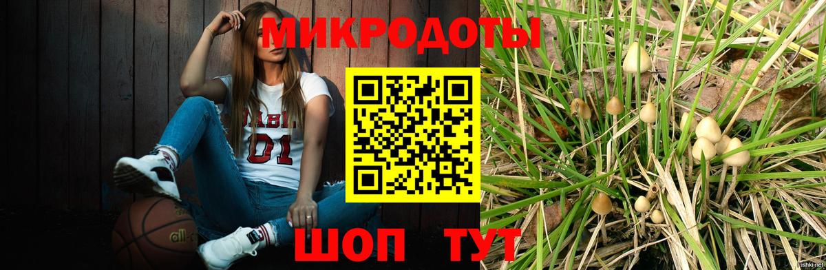 Псилоцибиновые грибы мицелий  Галлюциногенные грибы Psilocybe  Малгобек  Вход с VPN 