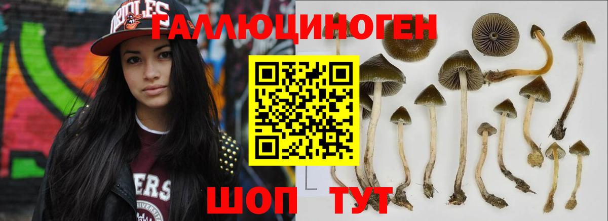 Галлюциногенные грибы прущие грибы Малгобек